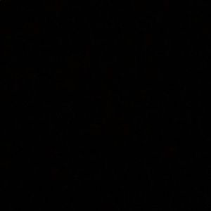 Meet your Posher, Dwayne